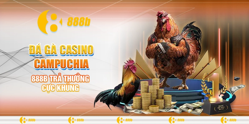 Đá Gà Casino Campuchia - Siêu Phẩm Cá Cược Tại Nhà Cái 888B 3 888B trả thưởng cực khủng