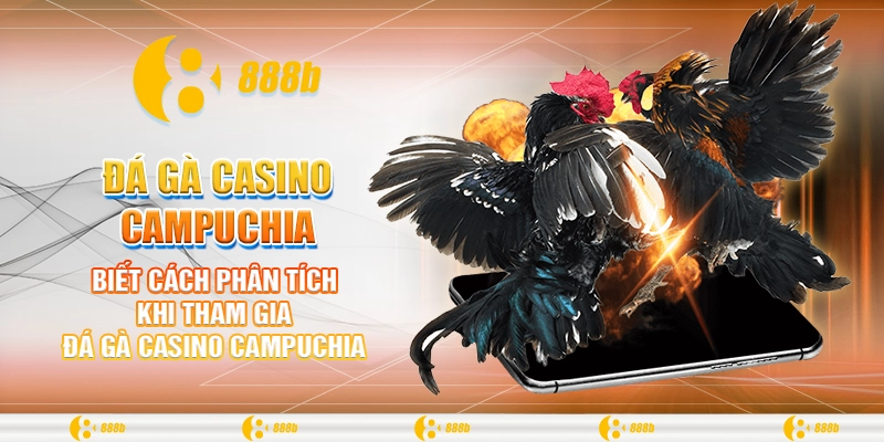 Đá Gà Casino Campuchia - Siêu Phẩm Cá Cược Tại Nhà Cái 888B 4 Biết cách phân tích khi tham gia đá gà casino Campuchia