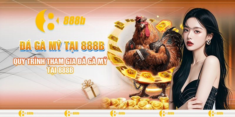 Đá Gà Mỹ Tại 888B - Trường Gà Siêu Lợi Nhuận Để Đầu Tư 3 Quy trình tham gia đá gà Mỹ tại 888B