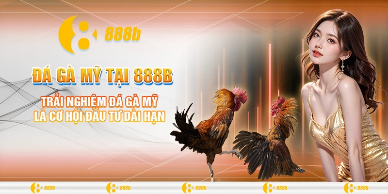 Đá Gà Mỹ Tại 888B - Trường Gà Siêu Lợi Nhuận Để Đầu Tư 4 Trải nghiệm đá gà Mỹ là cơ hội đầu tư dài hạn