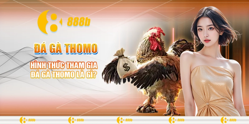 Đá Gà Thomo Là Gì? Tìm Hiểu Luật Chơi Và Mẹo Thắng Tại 888B 3 Hình thức tham gia đá gà Thomo là gì?