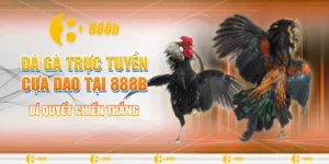 Đá gà trực tuyến cựa dao