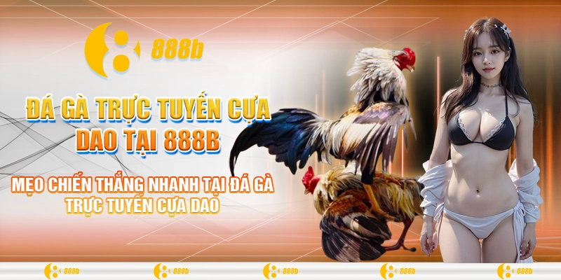 Đá Gà Trực Tuyến Cựa Dao Tại 888B - Bí Quyết Chiến Thắng 4 Mẹo chiến thắng nhanh tại đá gà trực tuyến cựa dao