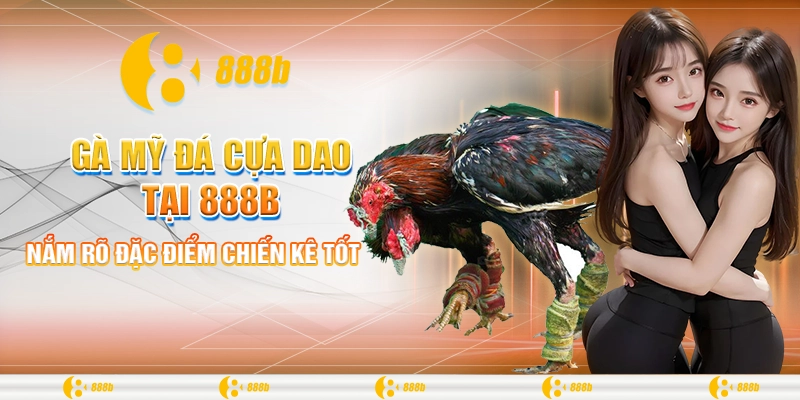 Nắm rõ đặc điểm chiến kê tốt