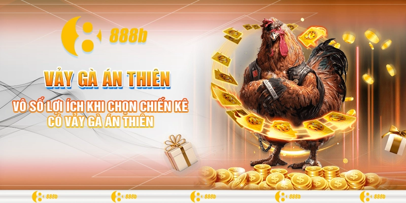 Vô số lợi ích khi chọn chiến kê có vảy gà Án Thiên