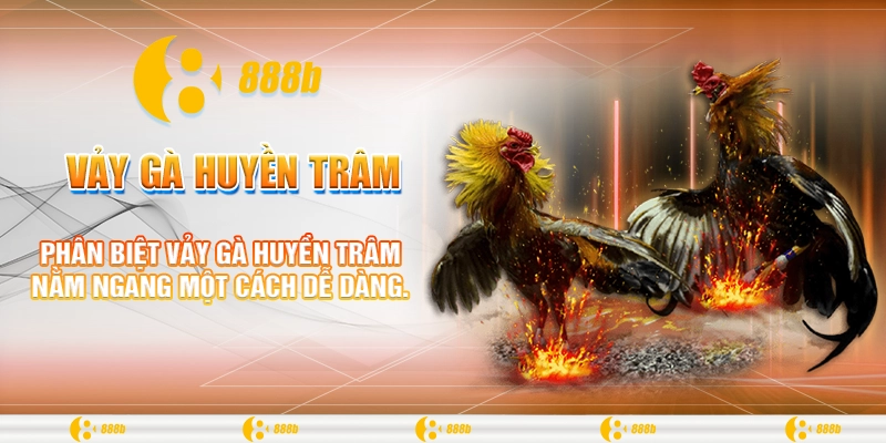 Vảy Gà Huyền Trâm Là Gì? Hướng Dẫn Đấu Bất Bại Tại 888B 2 Phân biệt vảy gà Huyền Trâm nằm ngang một cách dễ dàng