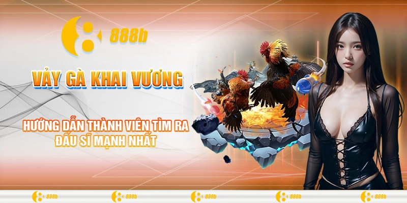 Vảy Gà Khai Vương: Bí Quyết Chọn Chiến Kê Đỉnh Cao Tại 888B 2 Hướng dẫn thành viên tìm ra đấu sĩ mạnh nhất