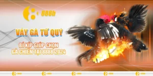 Vảy gà tứ quý
