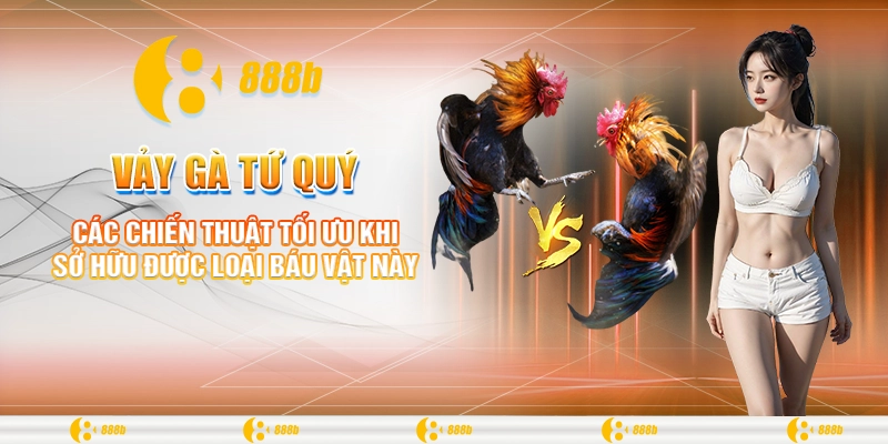 Vảy Gà Tứ Quý: Bí Kíp Giúp Chọn Gà Chiến Tại 888B 2024 3 Các chiến thuật tối ưu khi sở hữu được loại báu vật này