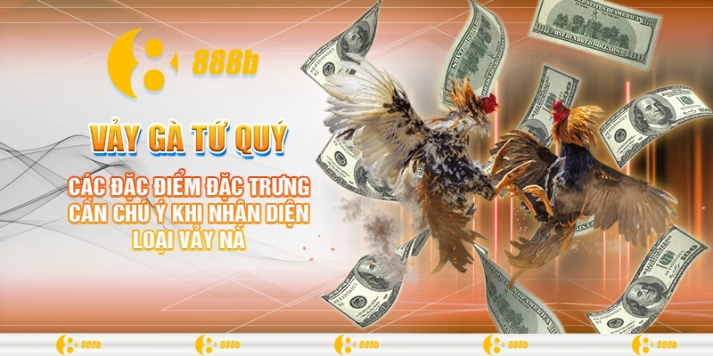 Vảy Gà Tứ Quý: Bí Kíp Giúp Chọn Gà Chiến Tại 888B 2024 1 Các đặc điểm đặc trưng cần chú ý khi nhận diện loại vảy này