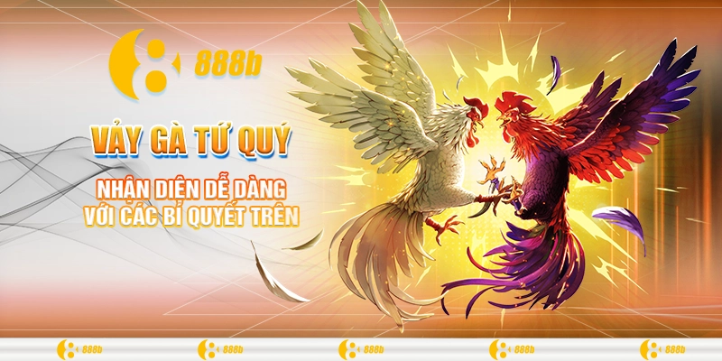 Vảy Gà Tứ Quý: Bí Kíp Giúp Chọn Gà Chiến Tại 888B 2024 2 Nhận diện dễ dàng với các bí quyết trên