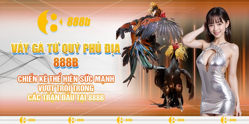 Vảy Gà Tứ Quý Phủ Địa 888B: Bí Quyết Thành Công Trong Đá Gà 3 Chiến kê thể hiện sức mạnh vượt trội trong các trận đấu tại 888B