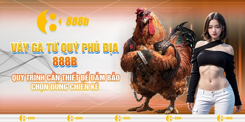 Vảy Gà Tứ Quý Phủ Địa 888B: Bí Quyết Thành Công Trong Đá Gà 4 Quy trình cần thiết để đảm bảo chọn đúng chiến kê