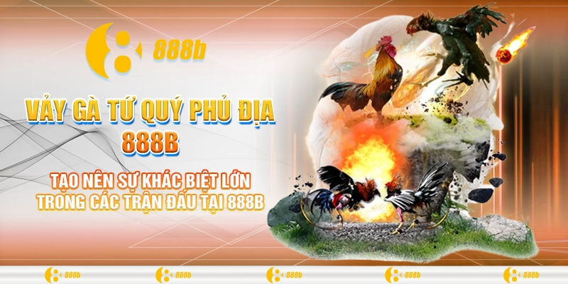 Vảy Gà Tứ Quý Phủ Địa 888B: Bí Quyết Thành Công Trong Đá Gà 2 Tạo nên sự khác biệt lớn trong các trận đấu tại 888B