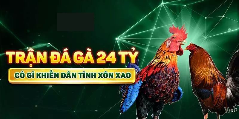Trận Đá Gà 24 Tỷ Nổi Tiếng Bấy Giờ Có Chăng Tồn Tại? 2 Thực hư trận đá gà 24 tỷ thế kỷ